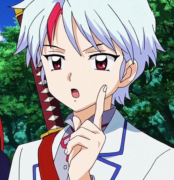 Hanyou No Yashahime Sengoku Otogizoushi