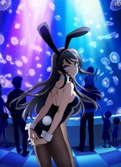 Seishun Buta Yarou wa Bunny Girl Senpai no Yume o Minai