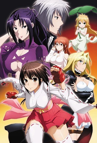 Sekirei Pure Engagement 2